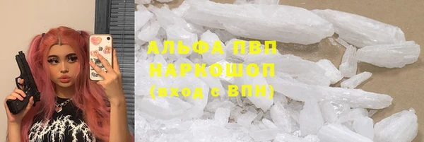 ешки Алексин