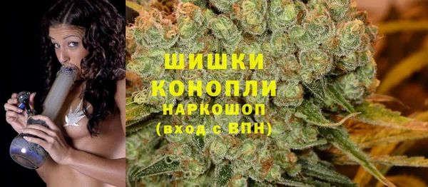 ешки Алзамай