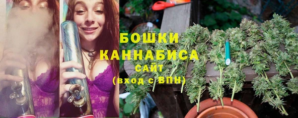 ешки Алзамай
