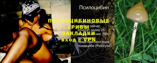 ешки Алзамай